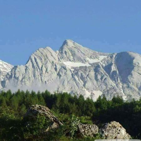Villa Giuseppe Roseto Degli Abruzzi Bagian luar foto