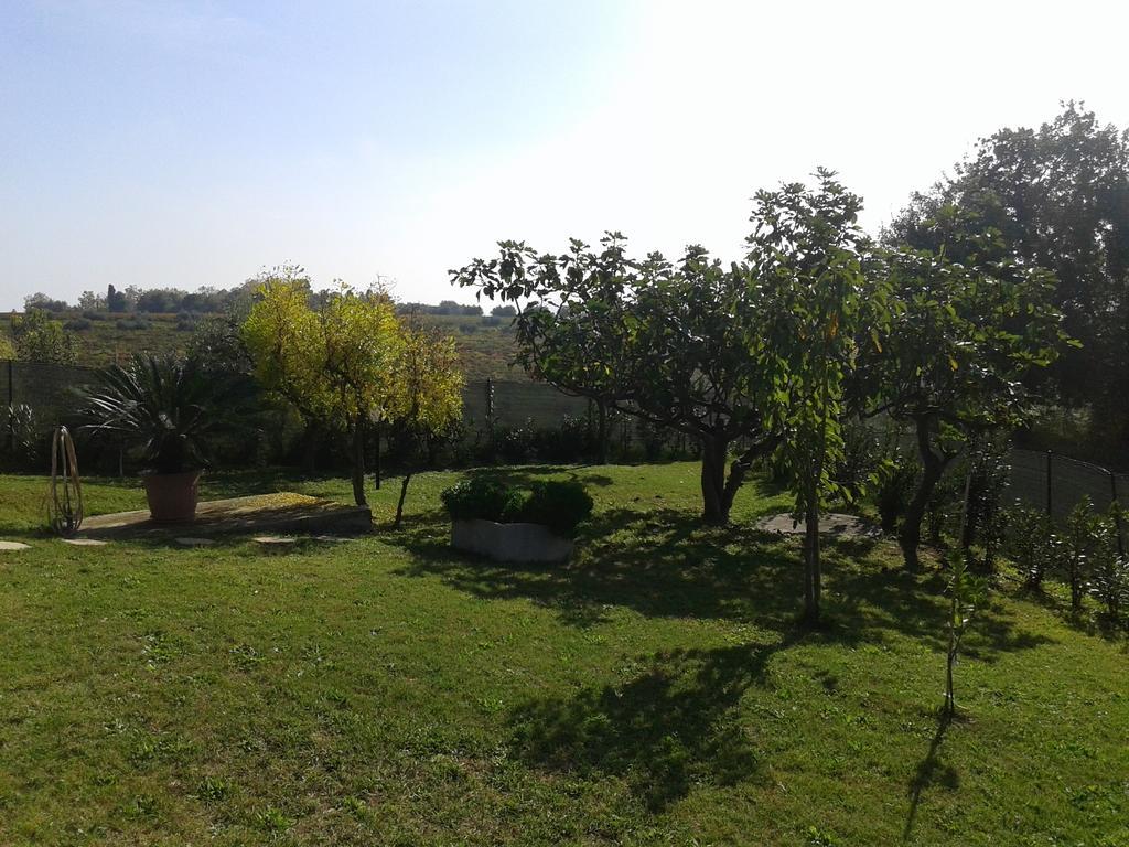 Villa Giuseppe Roseto Degli Abruzzi Ruang foto